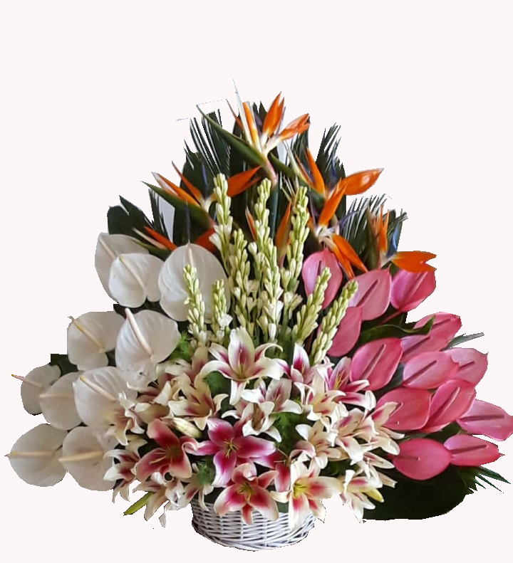 دسته گل کدWF3901